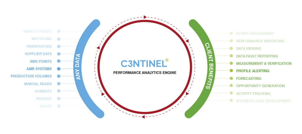 C3NTINEL process